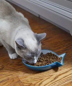 Frisco Fish Shaped Non-skid Ceramic Cat Dish, 0.62 Cups 12 Frisco Fish Shaped Non-skid Ceramic Cat Dish, 0.62 Cups -Frisco Sales 2024 256109 PT3. SY630 V1617196297