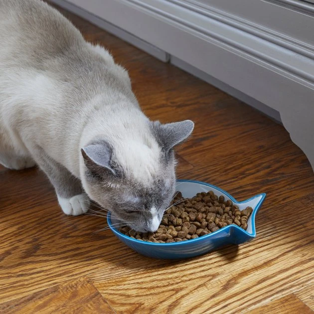 Frisco Fish Shaped Non-skid Ceramic Cat Dish, 0.62 Cups 6 Frisco Fish Shaped Non-skid Ceramic Cat Dish, 0.62 Cups - Image 4