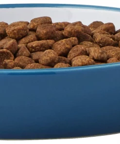 Frisco Fish Shaped Non-skid Ceramic Cat Dish, 0.62 Cups 13 Frisco Fish Shaped Non-skid Ceramic Cat Dish, 0.62 Cups -Frisco Sales 2024 256109 PT4. SY630 V1617196291