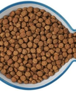 Frisco Fish Shaped Non-skid Ceramic Cat Dish, 0.62 Cups 15 Frisco Fish Shaped Non-skid Ceramic Cat Dish, 0.62 Cups -Frisco Sales 2024 256109 PT6. SY630 V1617196895