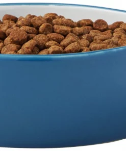 Frisco Fish Shaped Non-skid Ceramic Cat Bowl, 1.37 Cups -Frisco Sales 2024 256111 PT3. SY630 V1616522602