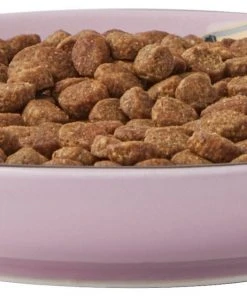 Frisco Paris Non-skid Ceramic Cat Dish, 0.62 Cup 14 Frisco Paris Non-skid Ceramic Cat Dish, 0.62 Cup -Frisco Sales 2024 256115 PT5. SY630 V1618494743