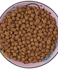 Frisco Paris Non-skid Ceramic Cat Dish, 0.62 Cup 15 Frisco Paris Non-skid Ceramic Cat Dish, 0.62 Cup -Frisco Sales 2024 256115 PT6. SY630 V1617196908