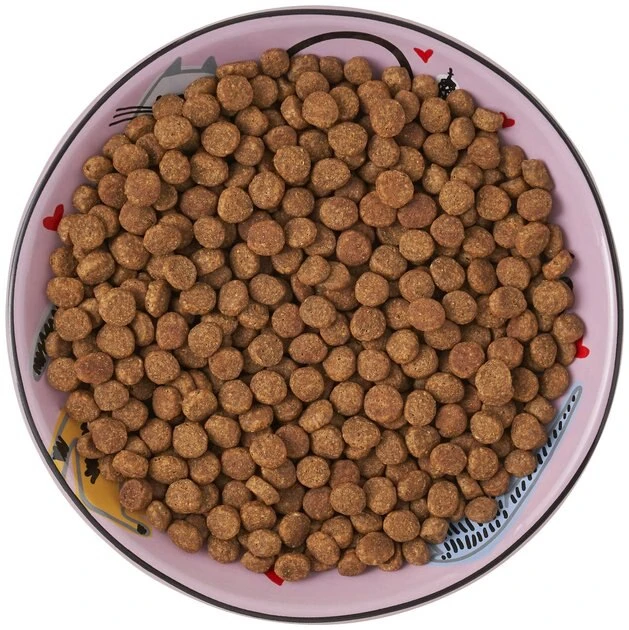 Frisco Paris Non-skid Ceramic Cat Dish, 0.62 Cup 9 Frisco Paris Non-skid Ceramic Cat Dish, 0.62 Cup - Image 7