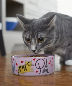 Frisco Paris Non-skid Ceramic Cat Dish, 1.62 Cup -Frisco Sales 2024 256117 PT2. SY630 V1615311397