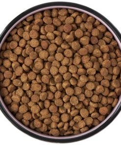 Frisco Paris Non-skid Ceramic Cat Dish, 1.62 Cup -Frisco Sales 2024 256117 PT5. SY630 V1615311392