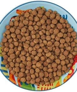 Frisco New York Non-skid Ceramic Cat Dish, 0.62 Cup -Frisco Sales 2024 256119 PT6. SY630 V1617196905