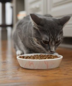 Frisco Marble Design Non-skid Ceramic Cat Bowl, 1.25 Cups -Frisco Sales 2024 256125 PT6. SY630 V1617037714