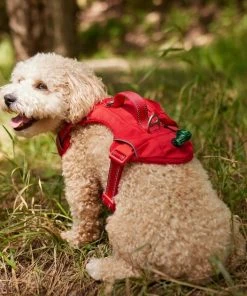 Frisco Outdoor Premium Ripstop Nylon Dog Harness with Pocket 11 Frisco Outdoor Premium Ripstop Nylon Dog Harness with Pocket -Frisco Sales 2024 256481 PT5. SY630 V1625589623