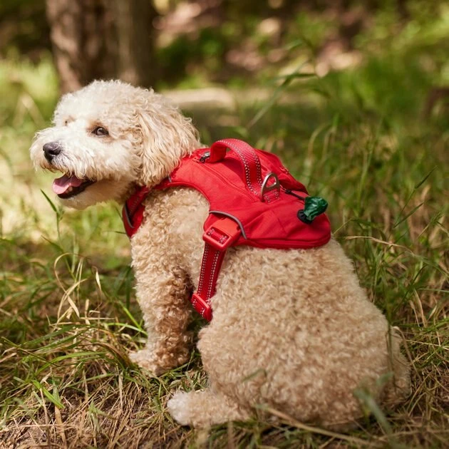 Frisco Outdoor Premium Ripstop Nylon Dog Harness with Pocket 7 Frisco Outdoor Premium Ripstop Nylon Dog Harness with Pocket - Image 5