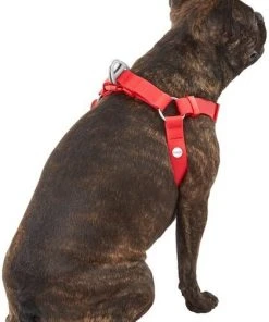 Frisco Outdoor Solid Textured Waterproof Stink Proof PVC Dog Harness -Frisco Sales 2024 256518 PT3. SY630 V1625164999