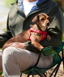 Frisco Outdoor Solid Textured Waterproof Stink Proof PVC Dog Harness -Frisco Sales 2024 256518 PT5. SY630 V1625587387