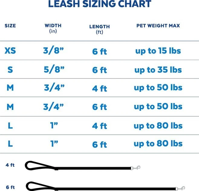 Frisco Outdoor Solid Textured Waterproof Stink Proof PVC Dog Leash 6 Frisco Outdoor Solid Textured Waterproof Stink Proof PVC Dog Leash - Image 4