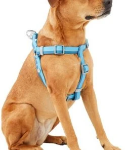 Frisco Outdoor Two Tone Waterproof Stinkproof PVC Dog Harness 9 Frisco Outdoor Two Tone Waterproof Stinkproof PVC Dog Harness -Frisco Sales 2024 256565 PT2. SY630 V1625165009