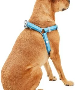 Frisco Outdoor Two Tone Waterproof Stinkproof PVC Dog Harness 10 Frisco Outdoor Two Tone Waterproof Stinkproof PVC Dog Harness -Frisco Sales 2024 256565 PT3. SY630 V1625164653