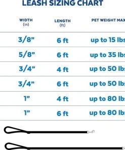 Frisco Outdoor Two Toned Waterproof Stink Proof PVC Dog Leash -Frisco Sales 2024 256607 PT6. SY630 V1630005752