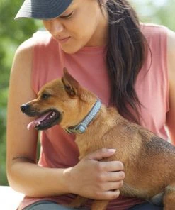 Frisco Outdoor Comfort Print Nylon Padded Dog Collar 5 Frisco Outdoor Comfort Print Nylon Padded Dog Collar -Frisco Sales 2024 256713 PT5. SY630 V1625587063