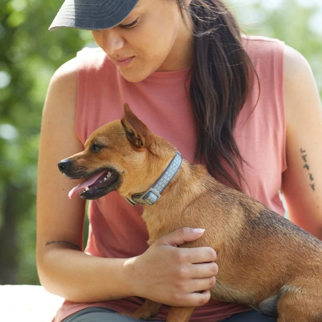 Frisco Outdoor Comfort Print Nylon Padded Dog Collar, Forest Green, Extra Small, Neck: 8-12-in, Width: 5/8th -in Frisco Outdoor Comfort Print Nylon Padded Dog Collar -Frisco Sales 2024 256713 PT5. SY630 V1625587063