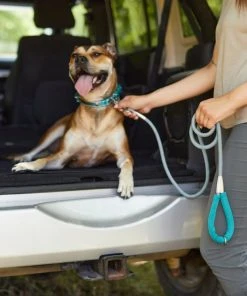 Frisco Outdoor Ultra Reflective Rope Leash with Padded Handle -Frisco Sales 2024 256753 PT5. SY630 V1625587202