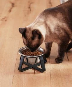 Frisco Iron Stand Dog & Cat Single Bowl Diner 8 Frisco Iron Stand Dog & Cat Single Bowl Diner -Frisco Sales 2024 257150 PT7. SY630 V1615989141
