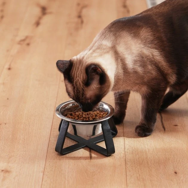 Frisco Black Iron Holder Non-Skid Stainless Steel Dog & Cat Bowl, 2-Cup Frisco Iron Stand Dog & Cat Single Bowl Diner -Frisco Sales 2024 257150 PT7. SY630 V1615989141