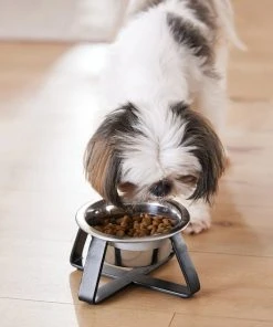 Frisco Iron Stand Dog & Cat Single Bowl Diner 9 Frisco Iron Stand Dog & Cat Single Bowl Diner -Frisco Sales 2024 257150 PT8. SY630 V1615840519