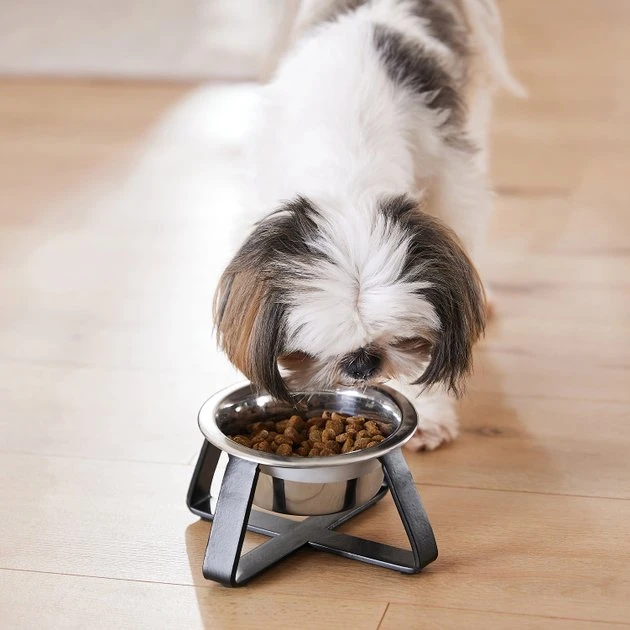 Frisco Black Iron Holder Non-Skid Stainless Steel Dog & Cat Bowl, 2-Cup Frisco Iron Stand Dog & Cat Single Bowl Diner -Frisco Sales 2024 257150 PT8. SY630 V1615840519