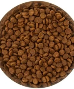 Frisco Flare Dog & Cat Bowl 13 Frisco Flare Dog & Cat Bowl -Frisco Sales 2024 257162 PT4. SY630 V1612366692