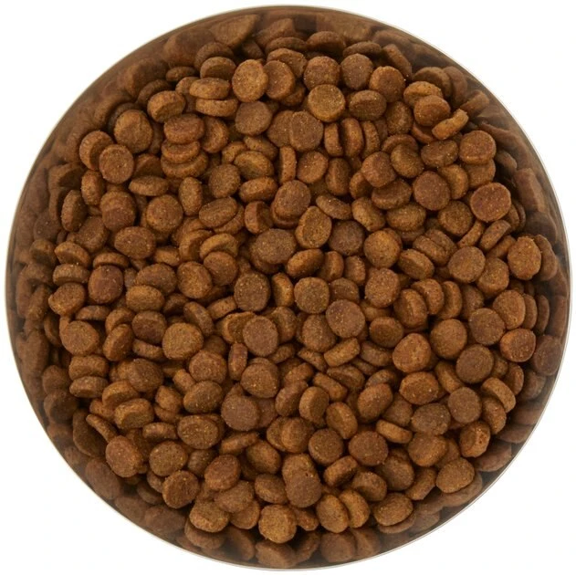 Frisco Flare Dog & Cat Bowl 6 Frisco Flare Dog & Cat Bowl - Image 4