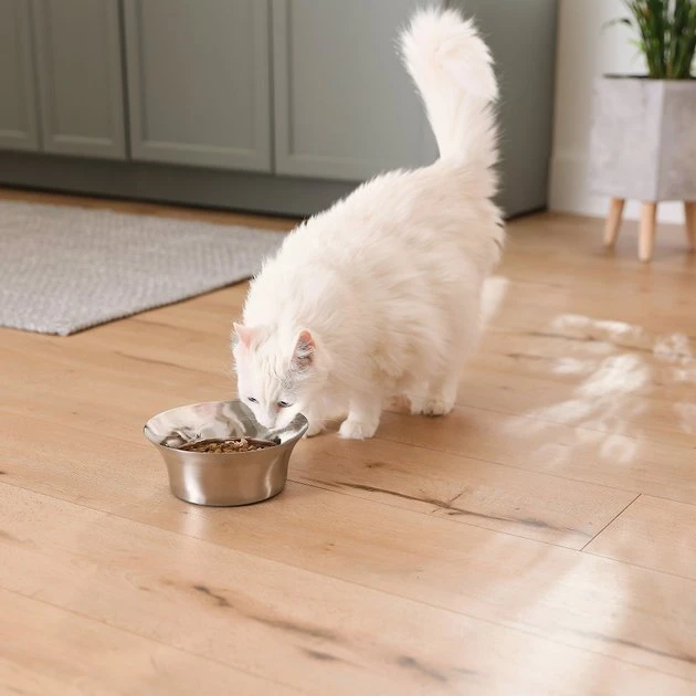 Frisco Flare Dog & Cat Bowl 9 Frisco Flare Dog & Cat Bowl - Image 7