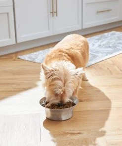 Frisco Flare Dog & Cat Bowl 17 Frisco Flare Dog & Cat Bowl -Frisco Sales 2024 257162 PT8. SY630 V1615840471