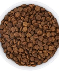 Frisco Bohemian Dog & Cat Bowl -Frisco Sales 2024 257195 PT4. SY630 V1615311089