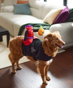 Frisco Headless Rider Dog & Cat Costume 13 Frisco Headless Rider Dog & Cat Costume -Frisco Sales 2024 260910 PT8. SY630 V1624461040