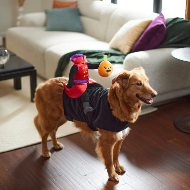 Frisco Headless Rider Dog & Cat Costume 8 Frisco Headless Rider Dog & Cat Costume - Image 6