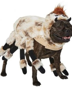 Frisco Spider Dog & Cat Costume