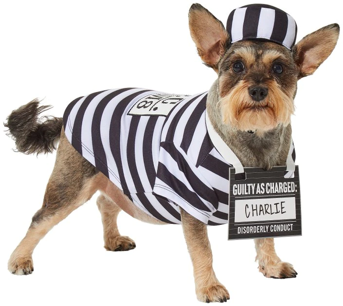 Frisco Prisoner Dog & Cat Costume 5 Frisco Prisoner Dog & Cat Costume - Image 3