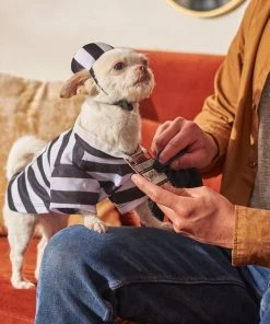 Frisco Prisoner Dog & Cat Costume 15 Frisco Prisoner Dog & Cat Costume -Frisco Sales 2024 260931 PT8. SY630 V1624400474
