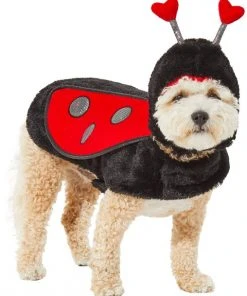Frisco Ladybug Dog & Cat Costume