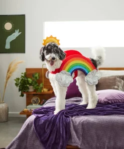 Frisco Rainbow Dog & Cat Costume -Frisco Sales 2024 261019 PT8. SY630 V1624370951