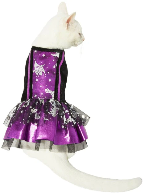 Frisco Midnight Witch Dog & Cat Costume 3 Frisco Midnight Witch Dog & Cat Costume