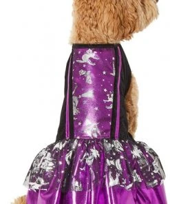 Frisco Midnight Witch Dog & Cat Costume 10 Frisco Midnight Witch Dog & Cat Costume -Frisco Sales 2024 261058 PT2. SY630 V1625076849