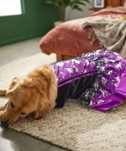 Frisco Midnight Witch Dog & Cat Costume 13 Frisco Midnight Witch Dog & Cat Costume -Frisco Sales 2024 261058 PT8. SY630 V1624400298