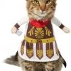 Frisco Front Walking Warrior Dog & Cat Costume