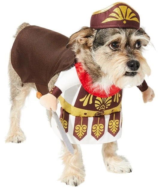 Frisco Front Walking Warrior Dog & Cat Costume 6 Frisco Front Walking Warrior Dog & Cat Costume - Image 4