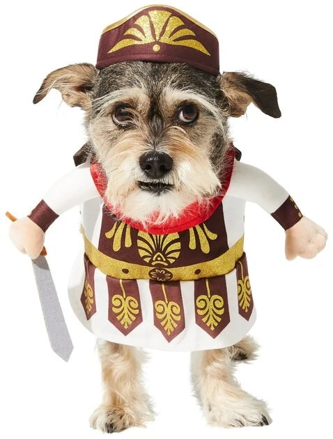 Frisco Front Walking Warrior Dog & Cat Costume 7 Frisco Front Walking Warrior Dog & Cat Costume - Image 5
