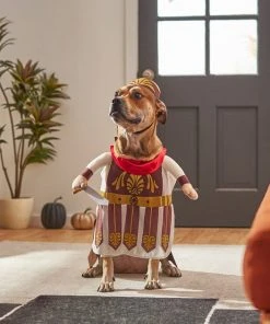 Frisco Front Walking Warrior Dog & Cat Costume 19 Frisco Front Walking Warrior Dog & Cat Costume -Frisco Sales 2024 261086 PT8. SY630 V1624402357