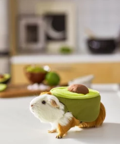 Frisco Avocado Guinea Pig Costume, One Size 11 Frisco Avocado Guinea Pig Costume, One Size -Frisco Sales 2024 261095 PT8. SY630 V1624454728