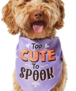 Frisco Too Cute to Spook Dog & Cat Bandana