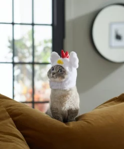 Frisco Chicken Cat Costume, One Size -Frisco Sales 2024 261102 PT8. SY630 V1624307866