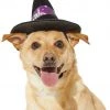 Frisco Midnight Witch Dog & Cat Hat -Frisco Sales 2024 261106 MAIN. SY630 V1631810796